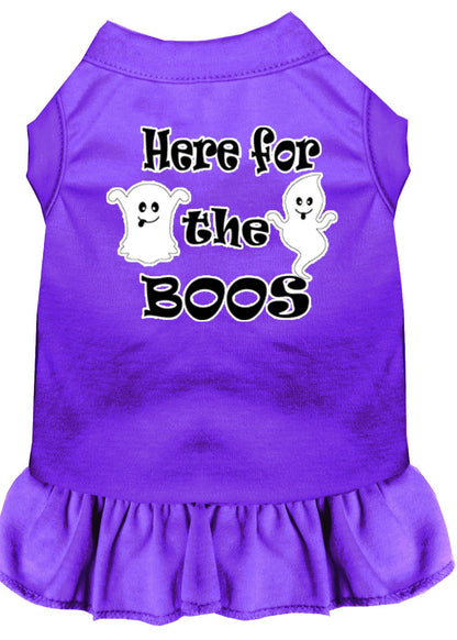 Pet Dress "Here For The Boos"