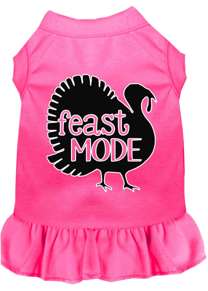 Thanksgiving Pet Dress "Feast Mode"
