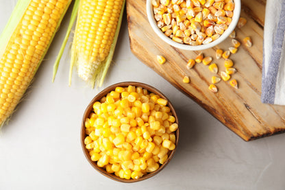 50 KANDY KORN CORN Sweet Yellow Corn Red Husk H.S.E. Zea Mays Vegetable Seeds