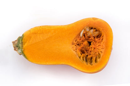 25 Organic HONEYNUT SQUASH aka Honey Butternut Squash Sweet Cucurbita Moschata Baby Buttercup Tan Skin Orange Flesh Seeds