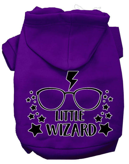 Pet Hoodie "Little Wizard"