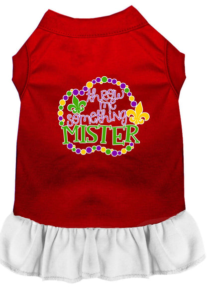 Pet Dress "Throw Me Something Mister"