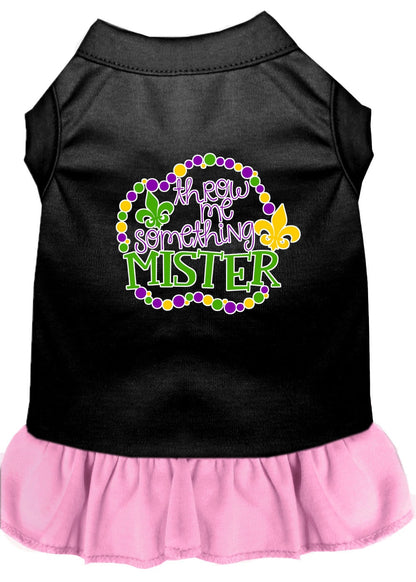 Pet Dress "Throw Me Something Mister"