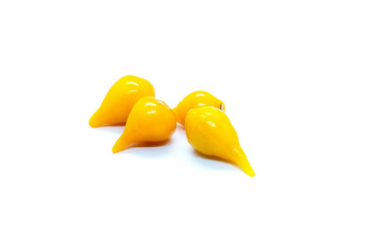 25 YELLOW BIQUINHO PEPPER Brazilian Chupetinho Capsicum Chinense Small Citrusy Sweet Semi Hot Chile Sweety Drop Vegetable Seeds
