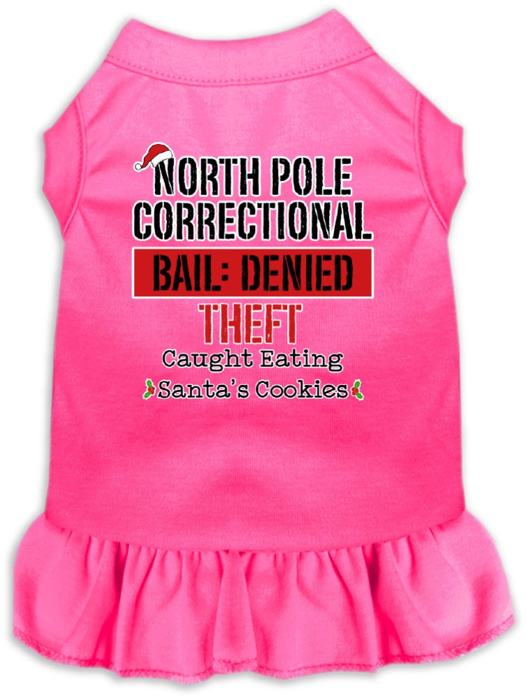 Christmas Pet Dress "North Pole Correctional"