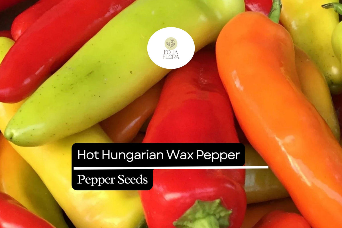 Hot Hungarian Wax Pepper Seeds – Heirloom, Spicy, High-Yielding, Capsicum annuum, Tangy & Bright Yellow