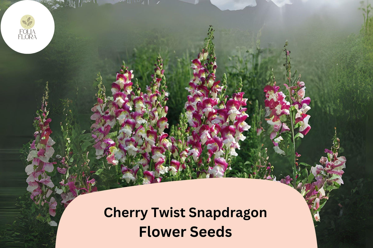 Cherry Twist Snapdragon Seeds | Vibrant Red Flowers, 1000+ Seeds | Antirrhinum majus, Pollinator-Friendly, Garden & Cut Flowers