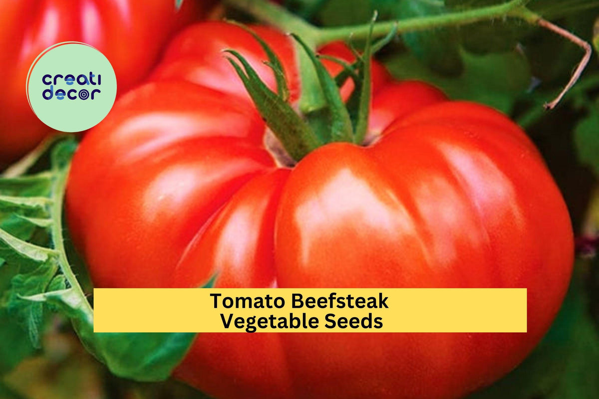 Beefsteak Tomato Seeds 3 Packs 300mg Juicy Large Slicer Variety Solanum lycopersicum for Home Garden, Summer Vegetable Gardening