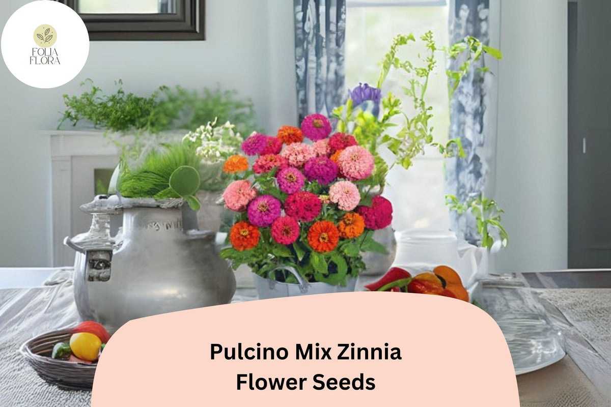 Pulcino Mix Zinnia Seeds – Dwarf Zinnia elegans for Pollinator Gardens, Bright Colorful Blooms, Easy to Grow Annual