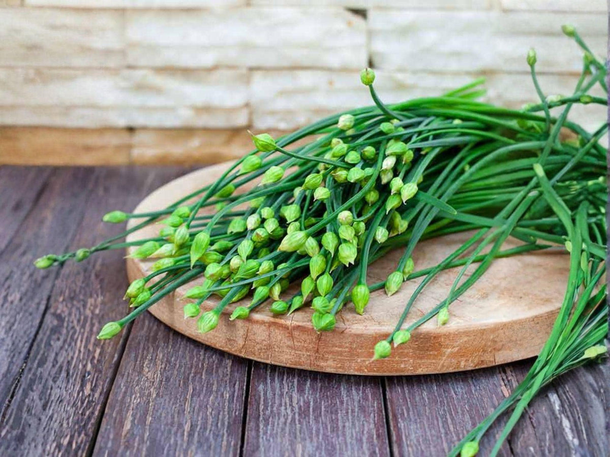 Flowering Chinese Leek Seeds – 100 Vegetable Seeds, Allium tuberosum, Garlic Chive, Edible Flower Buds, Asian Herb, Perennial Garden Plant