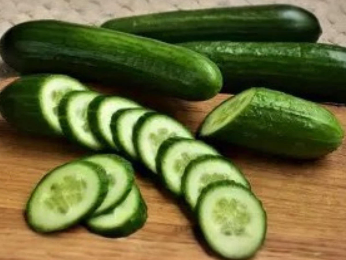 Spacemaster 80 Cucumber Seeds | Compact Bush Variety for Containers | Fast-Growing, Crisp, Mild Flavor