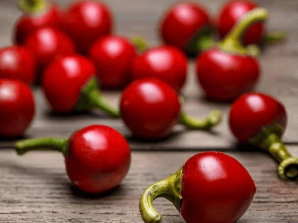 Heirloom Cherry Hot Pepper Seeds – Spicy Garden Vegetable, 25 Seeds, Large Round Chili, Medium-Hot, Grow in Garden or Containers
