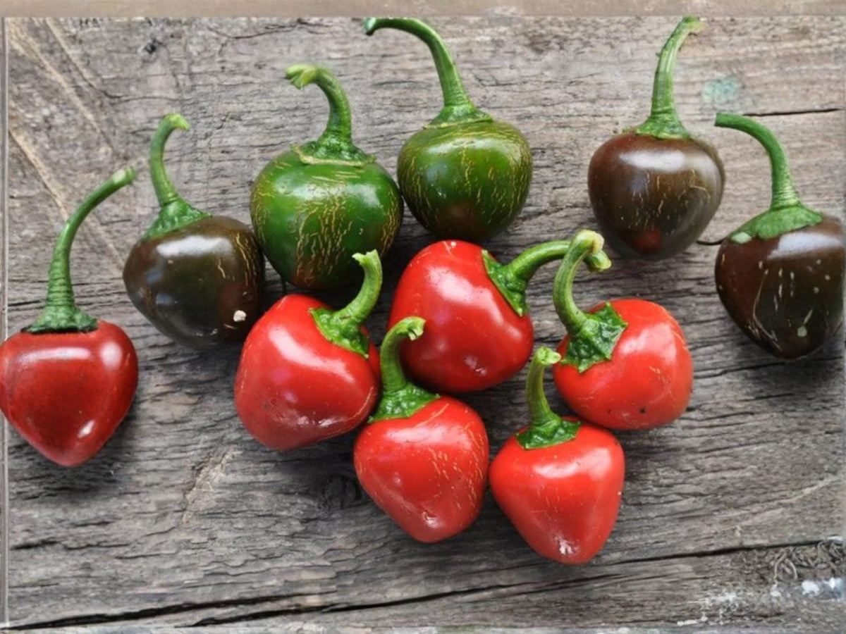 Red Cherry Sweet Pepper Seeds – Small Round Heirloom Garden Vegetable – 25 Seeds for Fresh Eating, Salads, Pickling, and Cooking