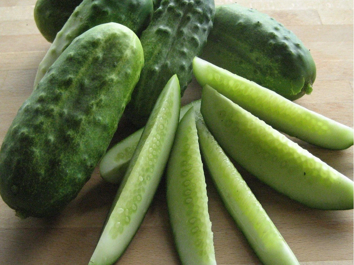 National Pickling Cucumber Seeds – Heirloom, Non-GMO, Jar-Size, Crisp, Short Fruits for Pickling & Fresh Use