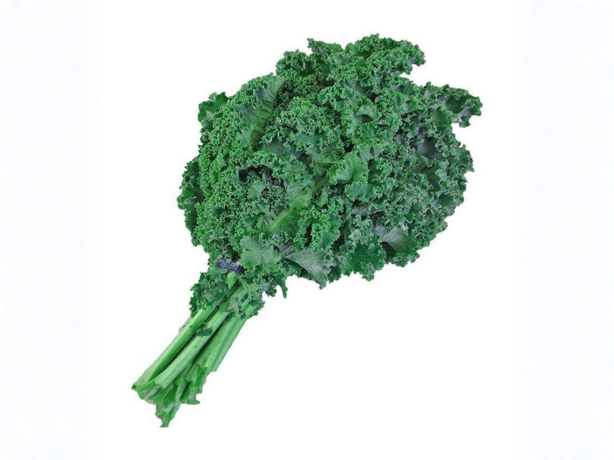 Dwarf Siberian Improved Kale Seeds – Cold Hardy Heirloom, Frilled Blue-Green Leaves, Frost Tolerant, 500 Seeds for Fall & Winter Gardens