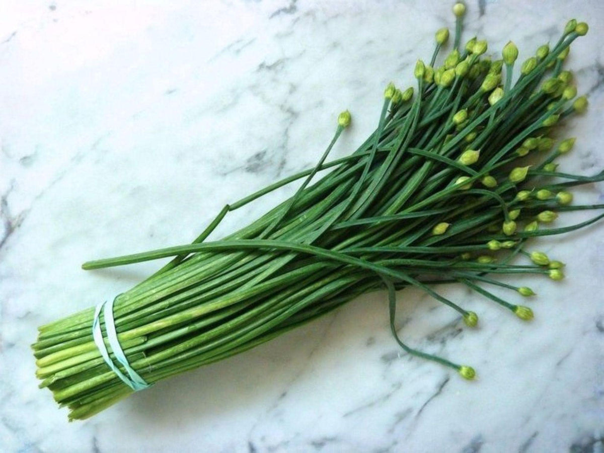 Flowering Chinese Leek Seeds, Garlic Chives, Allium tuberosum, Edible Perennial Herb, Pollinator-Friendly, Herb Garden, Vegetable Plant