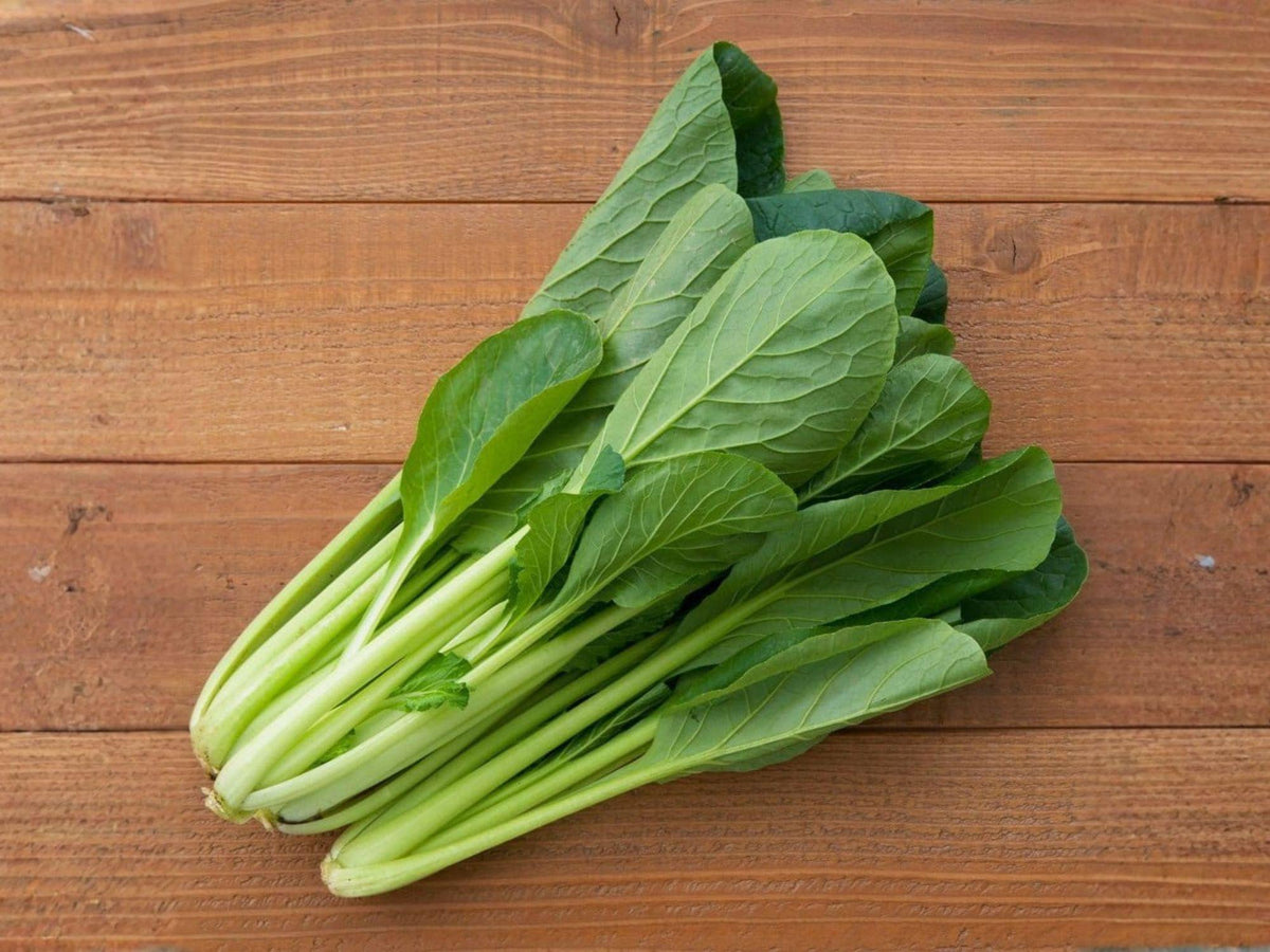 Komatsuna Tendergreen Mustard Spinach Seeds – 500 Japanese Green Vegetable, Fast Growing Brassica rapa var. perviridis, Cool-Season Leafy Green