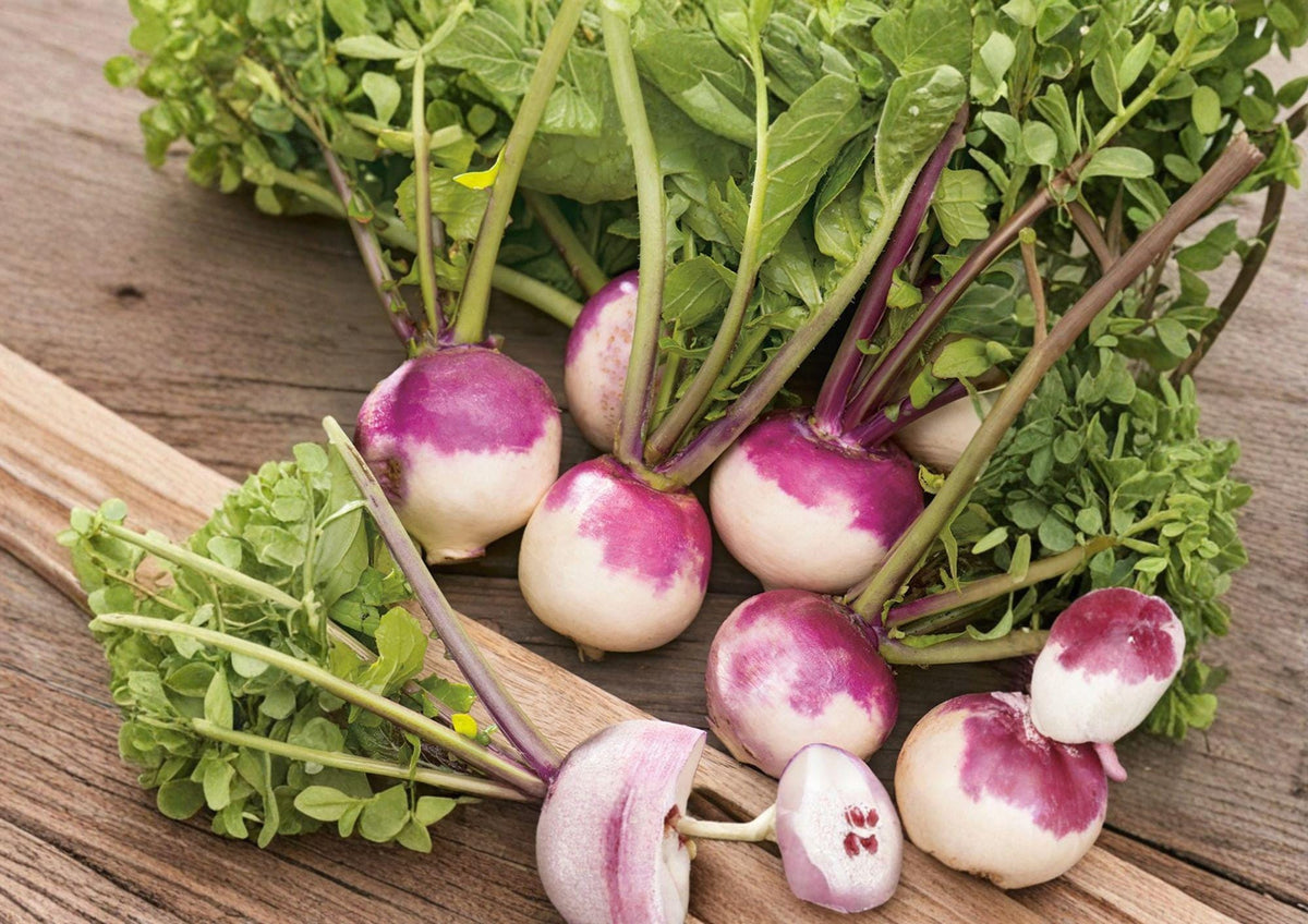 Purple Top White Globe Turnip Seeds – Heirloom Root Vegetable, Cool Season Garden Crop, 500 Seeds
