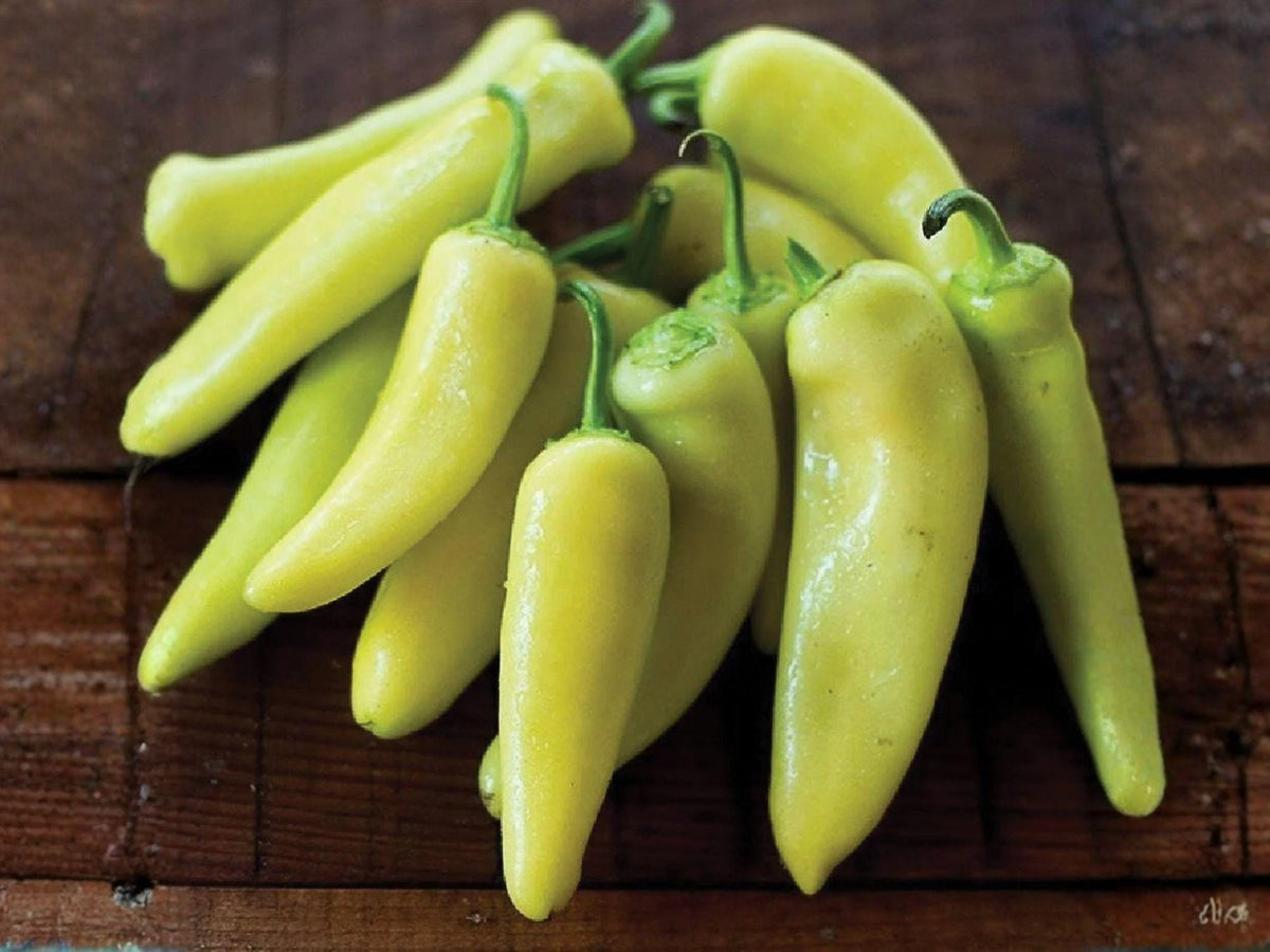 Hungarian Yellow Wax Pepper Seeds – Heirloom Banana Pepper for Garden Containers, Mild to Medium Heat, 25 Seeds, Capsicum annuum