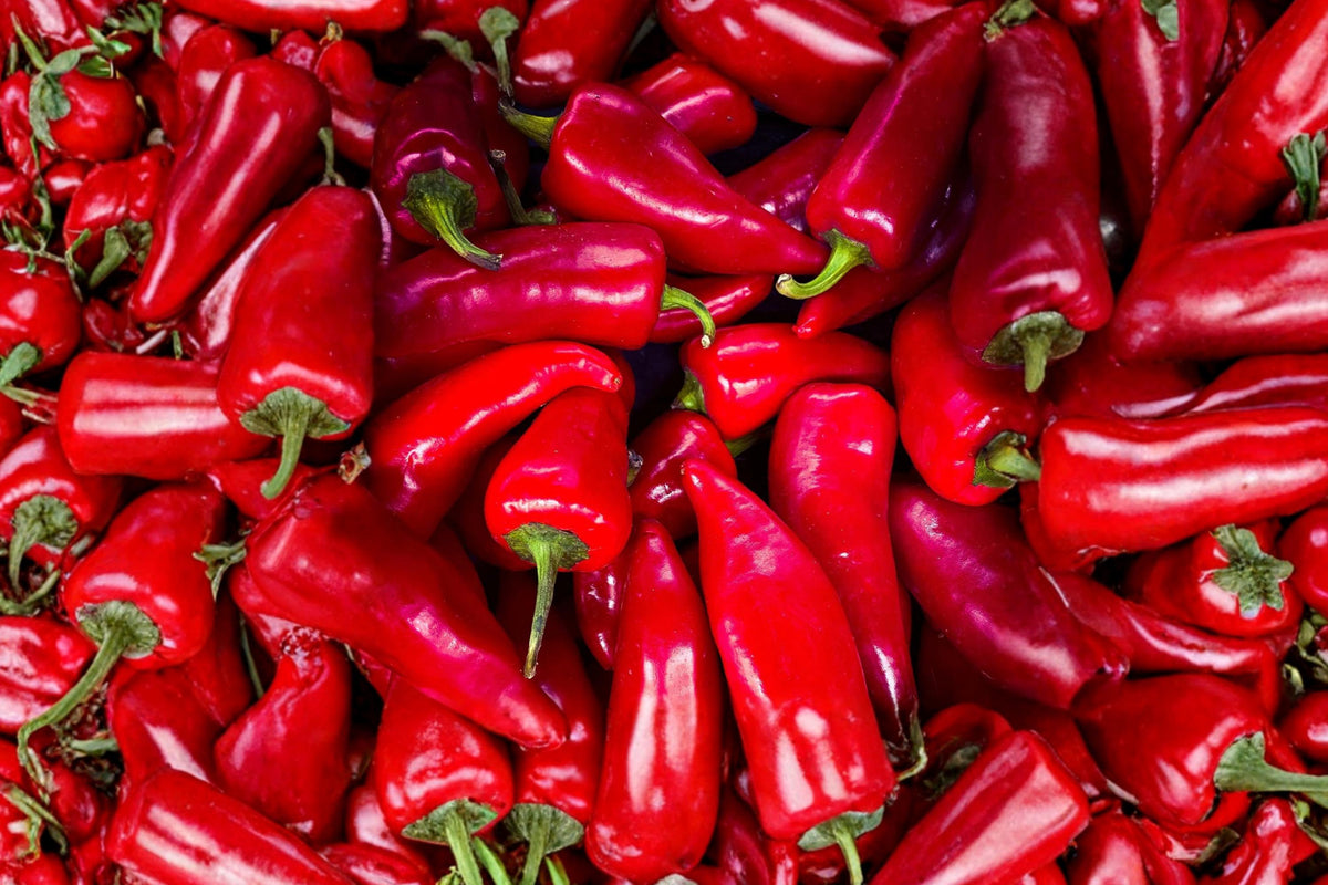 Fresno Chile Hot Pepper Seeds – Heirloom Capsicum Annuum, Medium Hot, Bright Red, Open Pollinated, Garden Plant Seeds