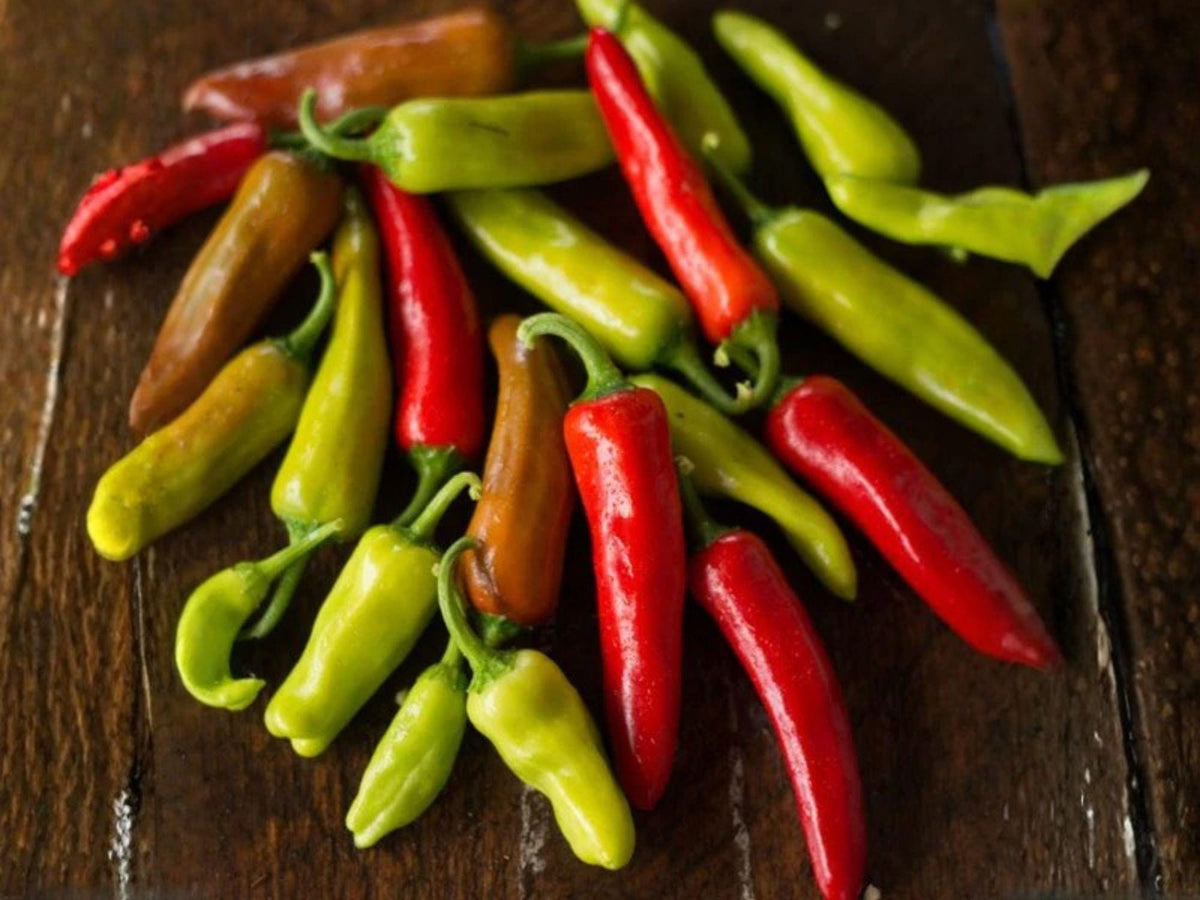 Italian Pepperoncini Seeds – 25 Sweet Pickling Pepper Garden Seeds for Deli-Style, Mild, Tangy-Sweet Peppers, Container & Garden Growing