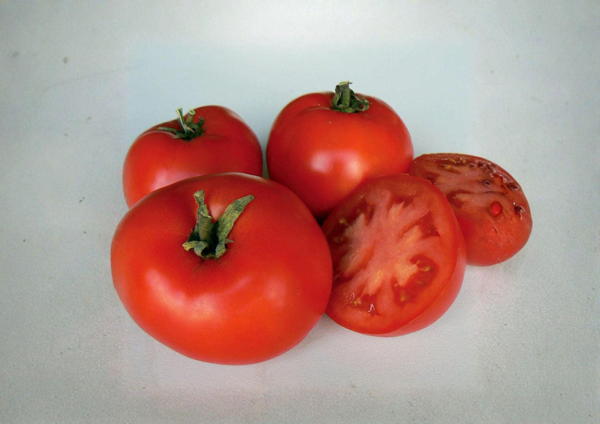 Legend Tomato Seeds – Heirloom, Early Blight Resistant, Red Slicing Garden Variety, 30 Seeds