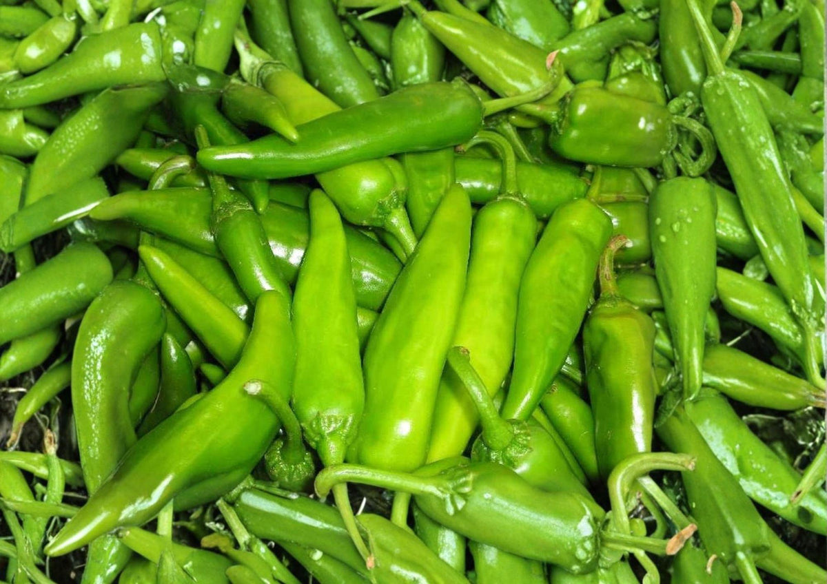 Lumbre Hot Pepper Seeds – 25 Heirloom Red Chili Seeds for Spicy Garden, Fiery Hot Peppers for Salsas, Hot Sauces & Drying
