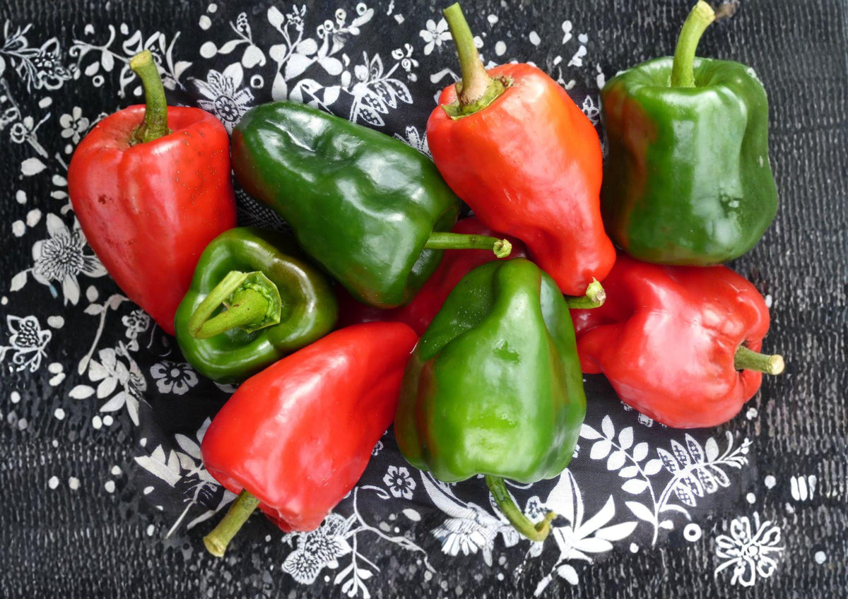Ancho Poblano Pepper Seeds – Heirloom Mexican Chili Vegetable Garden Growing, 25 Seeds, Green to Red, Mild Heat