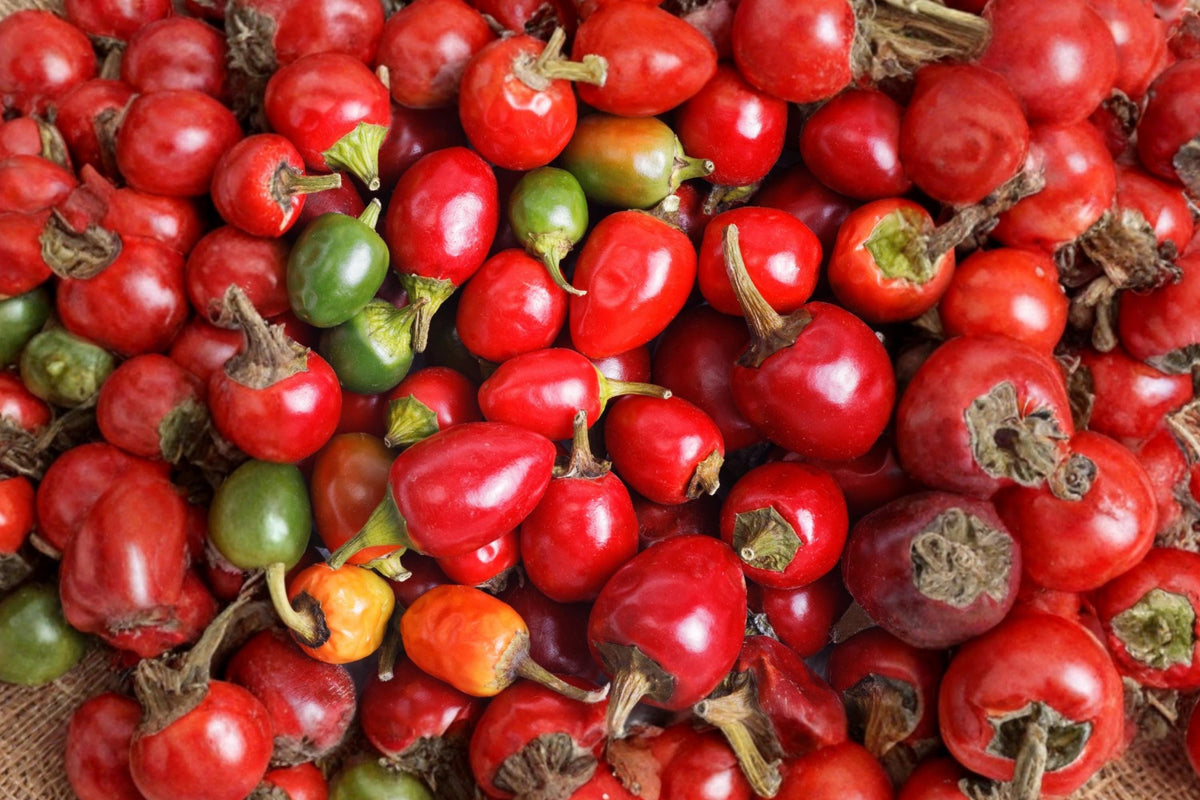 Large Hot Cherry Pepper Seeds – Heirloom Spicy Chili Plants, Capsicum annuum, 25 Count, Gourmet Hot Peppers for Garden, Pickling & Cooking