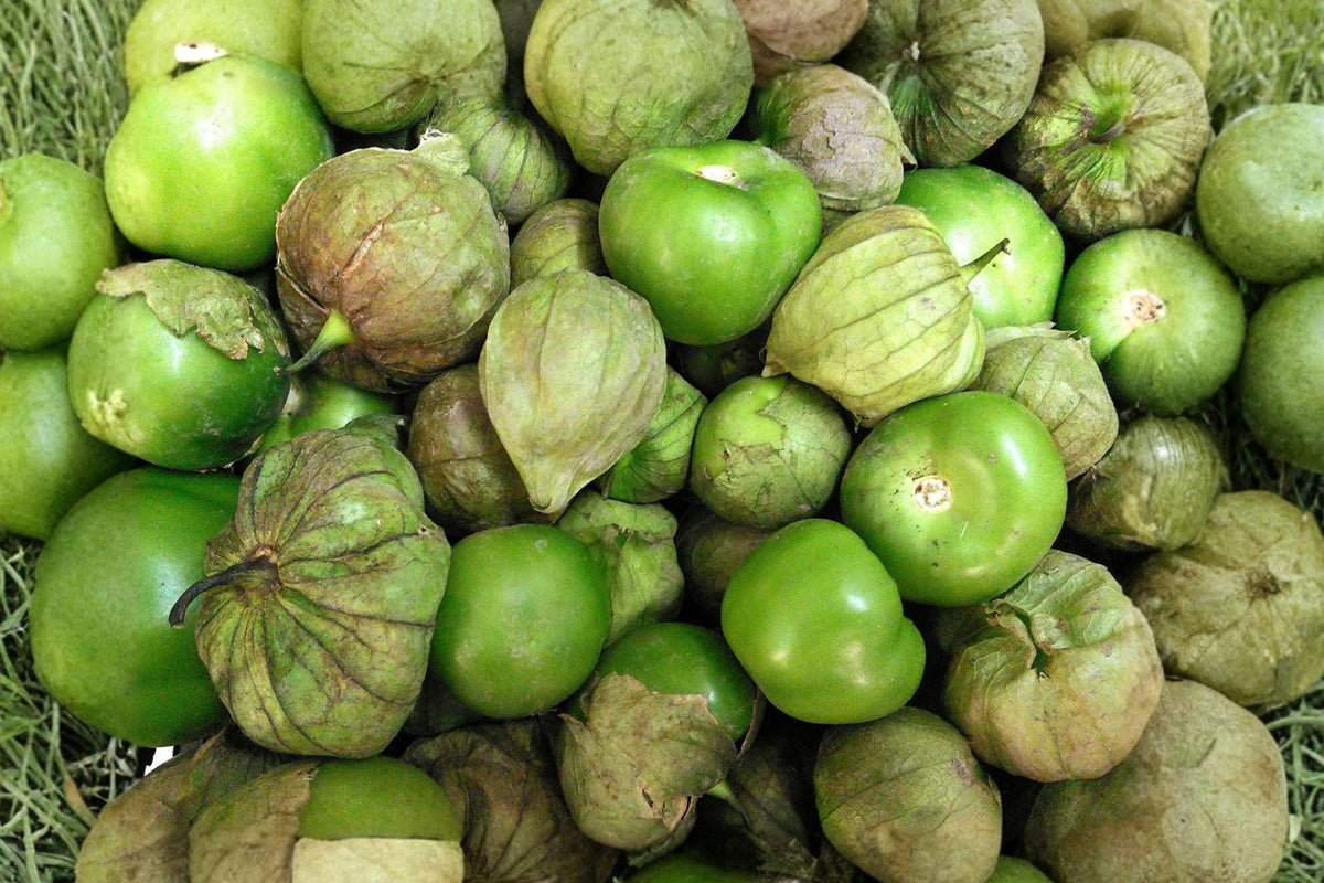 Heirloom Tomatillo Verde Seeds – High Yield Salsa Verde Fruit, Green Husk Tomato, Vegetable Seeds for Garden, 30 Pack