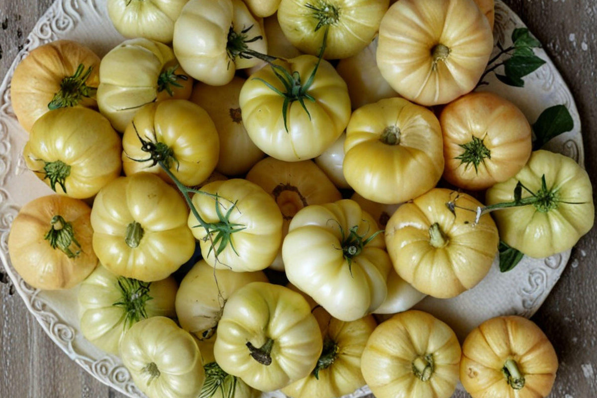 White Tomato Seeds - Heirloom Beefsteak Variety for Garden, Non-GMO, Large Creamy Fruits, Sweet Flavor, Suitable for Beds