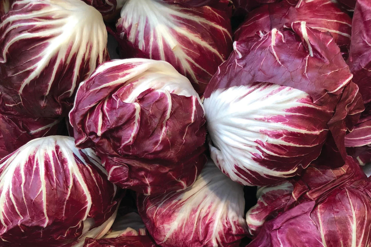 Red Acre Cabbage Seeds Heirloom Non-GMO Vegetable Garden Plant for Fresh Salads and Cooking