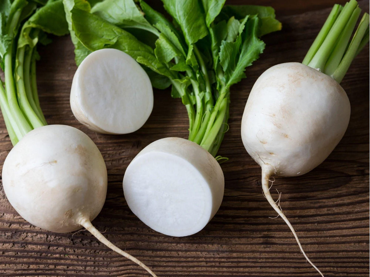 Seven Top Turnip Seeds – 500 Count, Leafy Greens, Brassica rapa, Continuous Harvest, Cool-Season Garden Crop