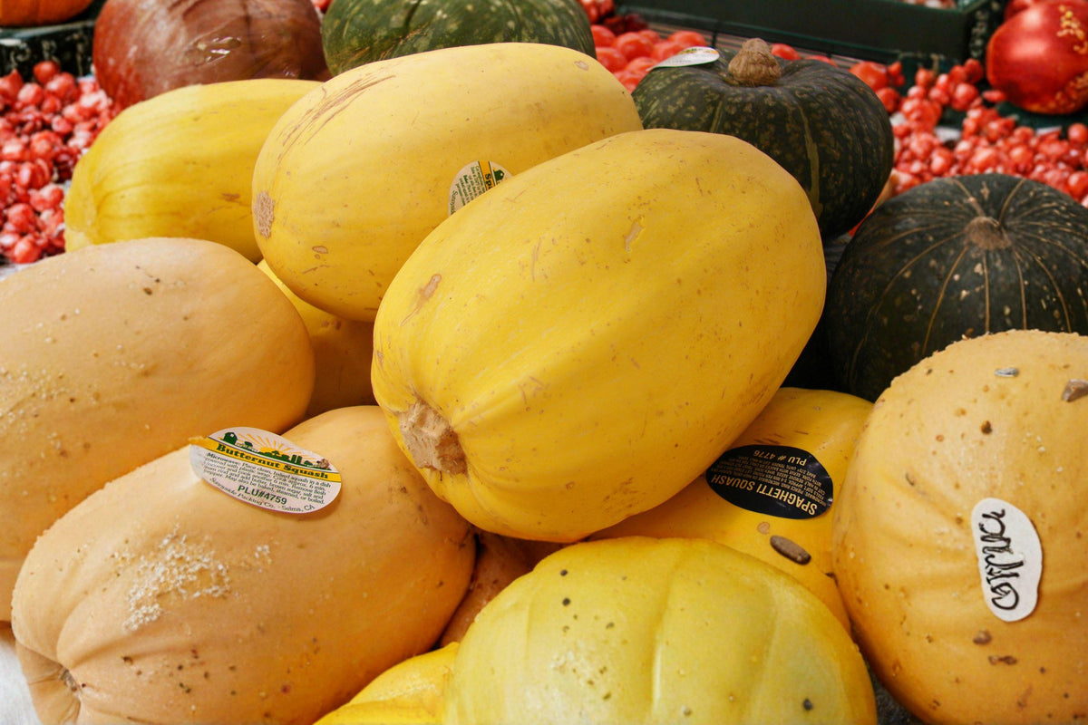 Heirloom Organic Spaghetti Squash Seeds – High Yield Winter Variety for Gardening, Cooking, and Healthy Meals (25+ Seeds)