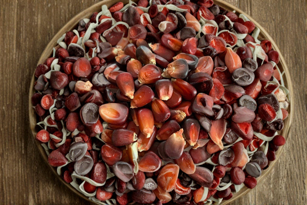New York Bloody Butcher Corn Seeds – Heirloom Deep Red Kernels, Sweet Flavor, Non-GMO, 30+ Seeds for Garden Planting