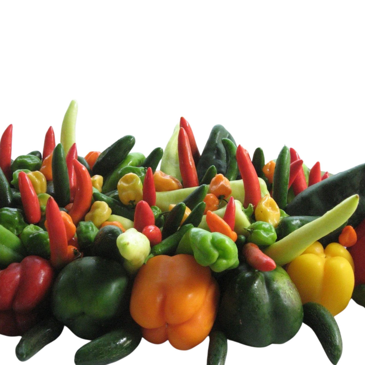 Holy Moley Pepper Mix Seeds, 500 Bulk Variety Pack, Sweet to Hot Capsicum annuum, Garden, Salsa, Cooking