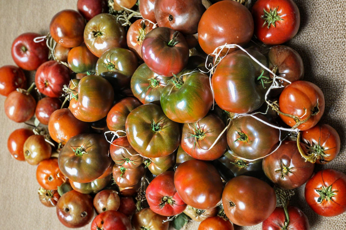 Black Krim Tomato Seeds – Organic Heirloom, Indeterminate, Deep Purple-Brown Fruits, Smoky Sweet Flavor, High Yield, Non-GMO