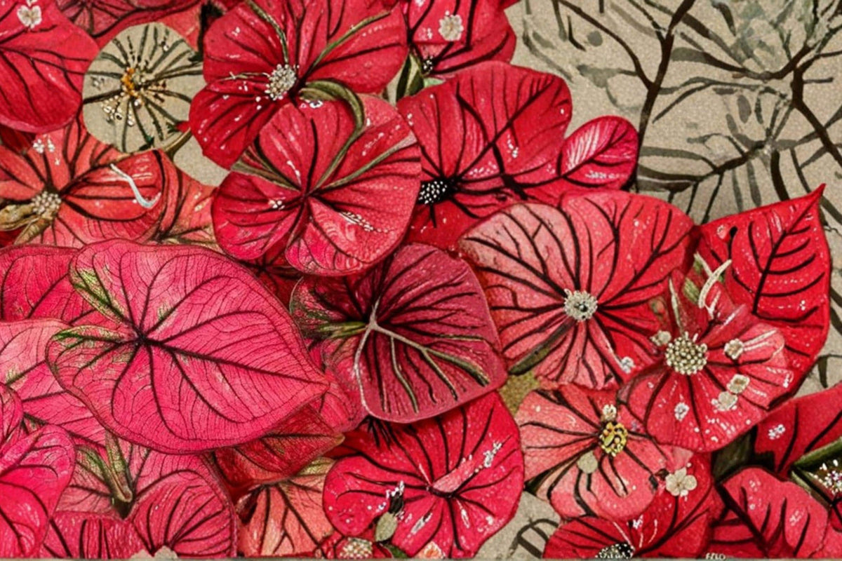 Crimson Sky Caladium Bulbs – Vibrant Red Foliage, Shade Garden, Container Plant, Caladium (Caladium)