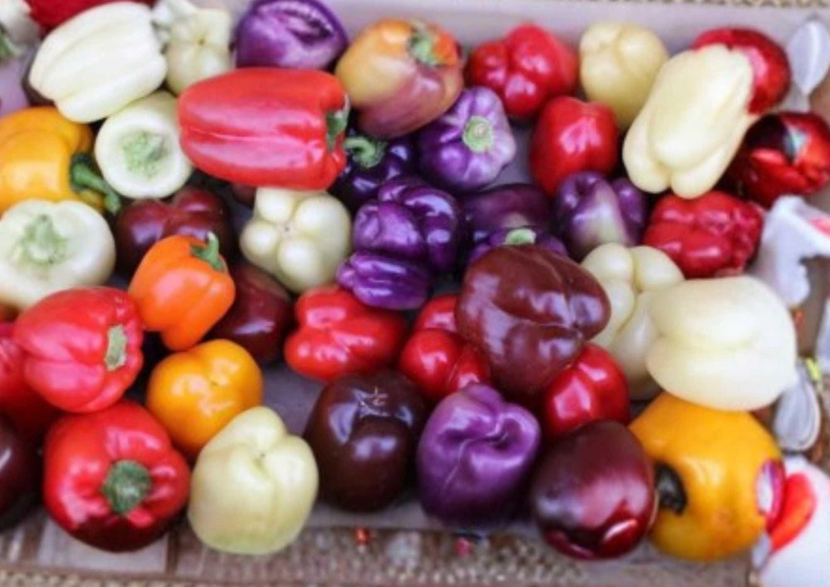 Sweet and Spicy Pepper Seeds Mix, Non-GMO Vegetable Seeds for Garden, Bell & Hot Peppers, Colorful High-Yield Variety