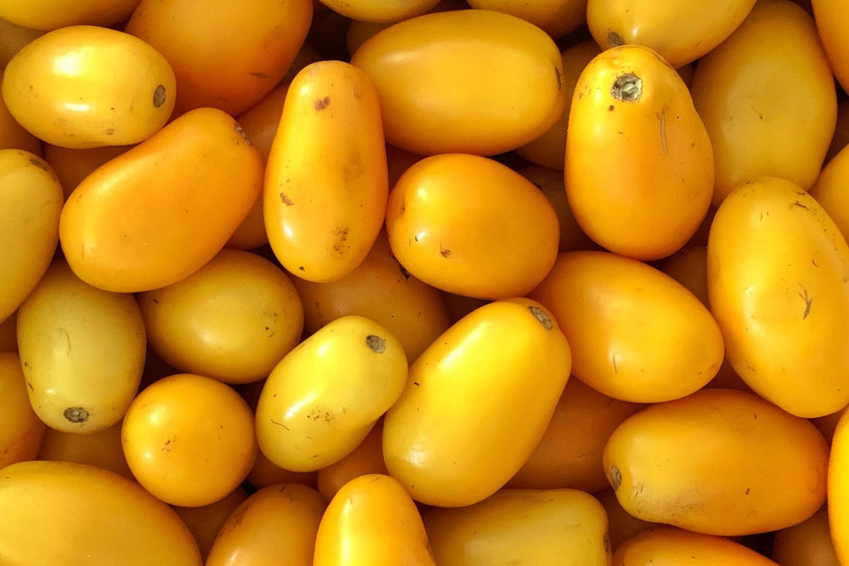 Yellow Plum Tomato Seeds – Indeterminate, Golden-Yellow Fruit, 40 Seeds, Solanum lycopersicum, Vegetable Garden Plant
