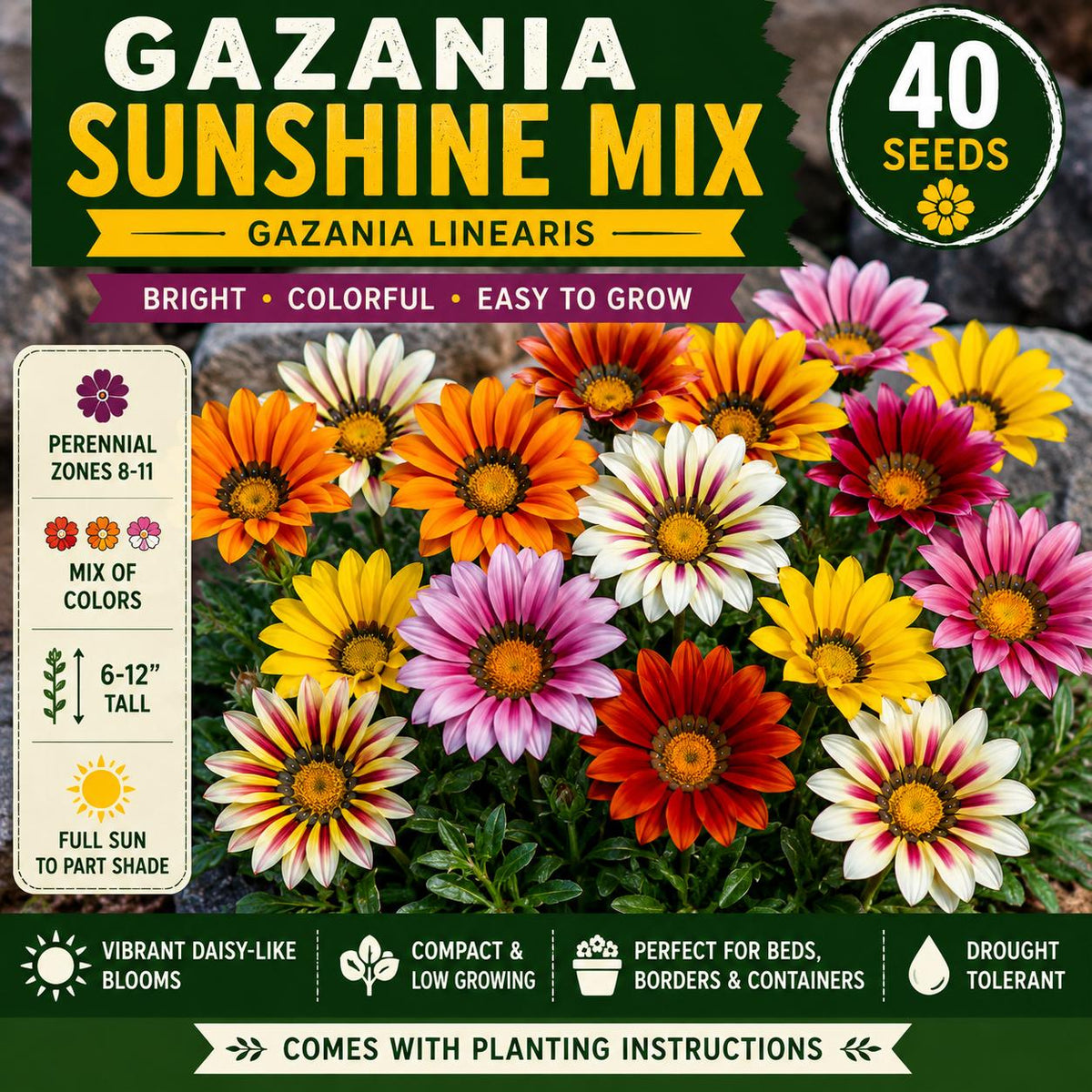 Gazania Sunshine Mix Seeds – Colorful Perennial Flowers, Gazania linearis, Compact Daisy-Like Blooms for Borders, Containers, and Gardens