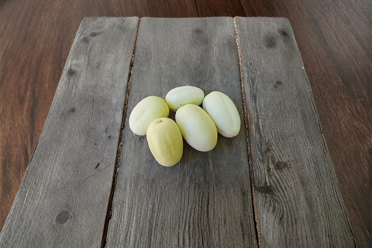 Dragon Egg Cucumber Seeds – White Heirloom Cucumis sativus, Vining Vegetable for Garden Beds & Trellises