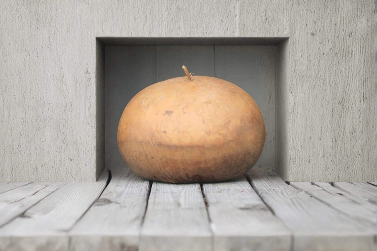 Bushel Gourd Seeds, Ornamental Vine, Giant Round Gourds for Planting, Lagenaria siceraria