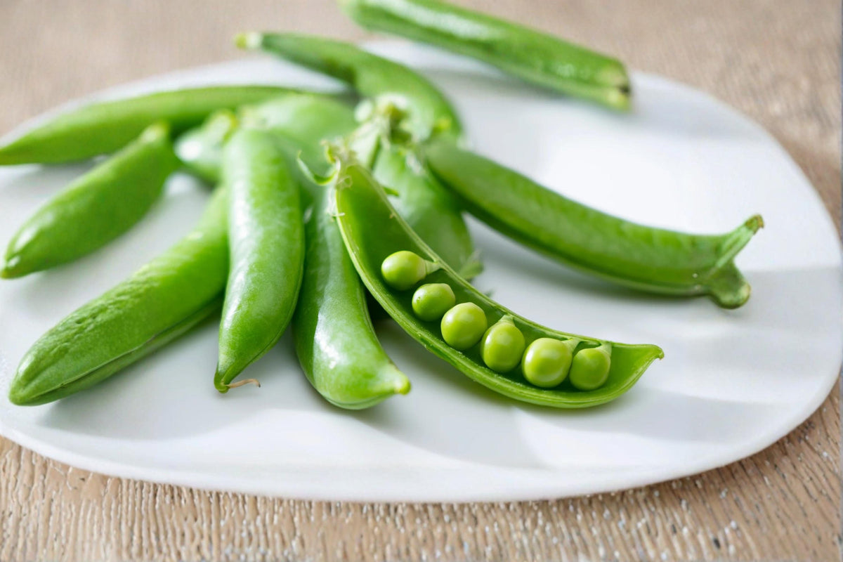 Sugar Snap Pea Seeds 100+ Count | Climbing Edible Pods | Pisum sativum var. macrocarpon Vegetable Seeds