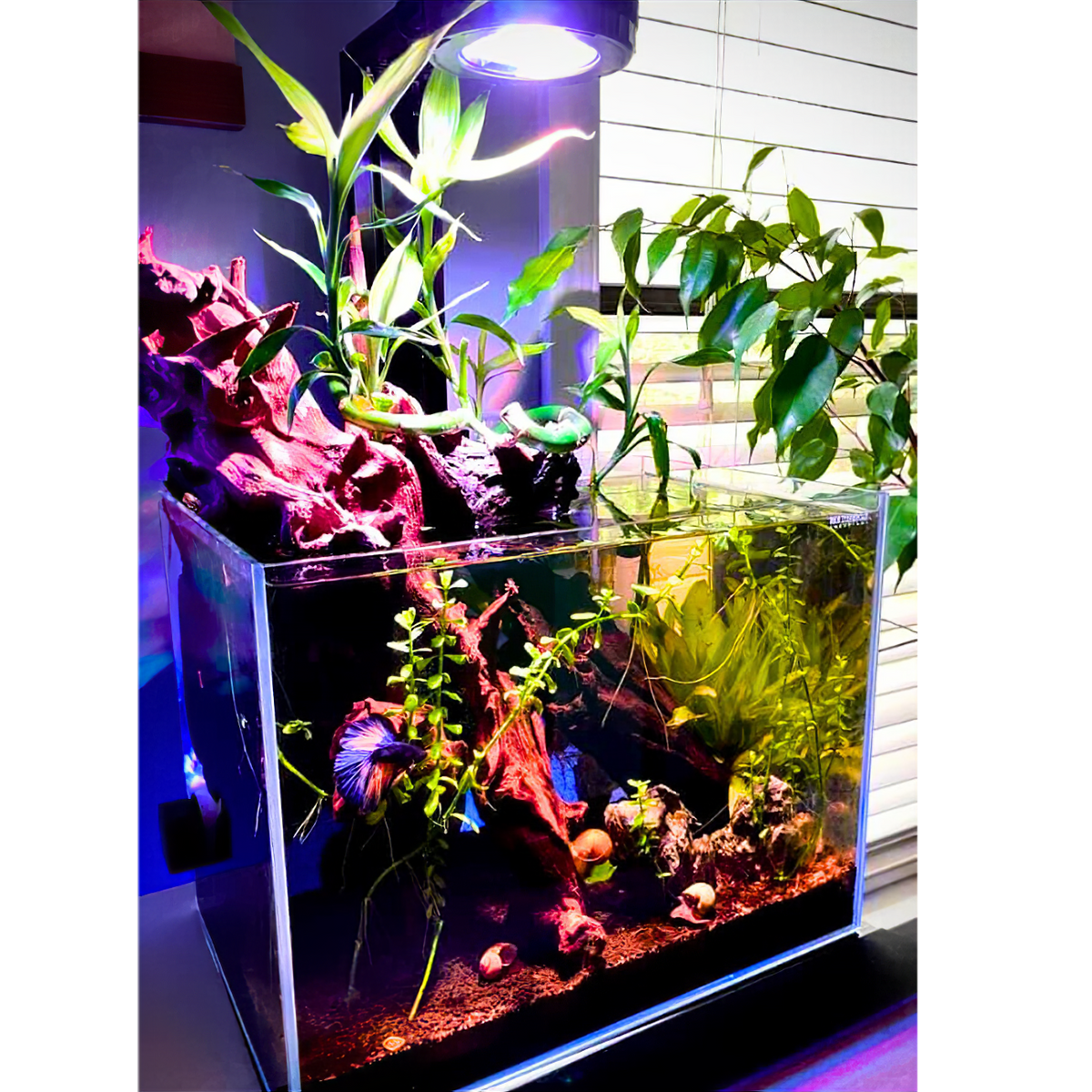 Pixel LED Bundles All Sizes