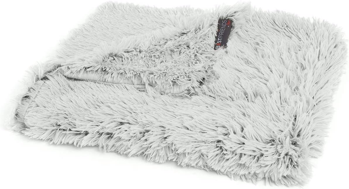 Best Friends by Sheri Blanket Shag Frost 40x50