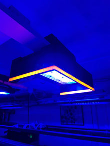 XR 30 Halo Shade
