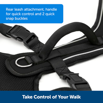Petsafe Easysport Harness Teal Md