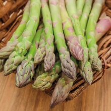 10 Bare Root Plants Green Jersey Giant Live Asparagus, 2-Year Crowns, Asparagus officinalis, High-Yield, Perennial Garden Starter