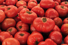 Tomato VR Moscow Seeds – 100mg for Planting, Heirloom Variety, Rich Flavor, High Yield, Cold Hardy, Great for Slicing & Salads, Garden Ready
